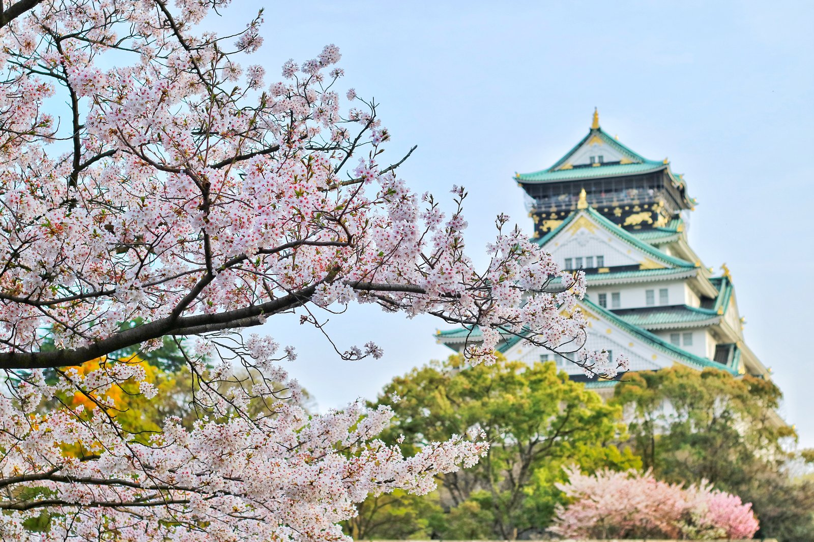 O Japão e os bons hábitos